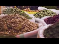 Nina Alon Gronove - Showreel 2020