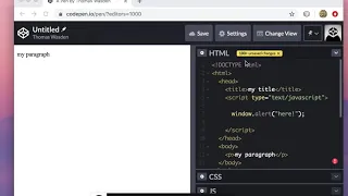 Topics - Html The HTML Script Tag