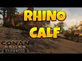 How to Get Rhino Mount in Conan Exiles