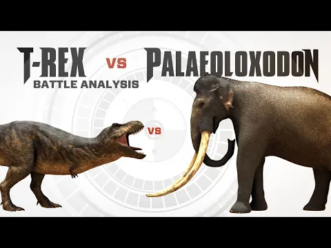 Download MP3 T-REX vs PALAEOLOXODON  | Battle FACEOFF Analysis