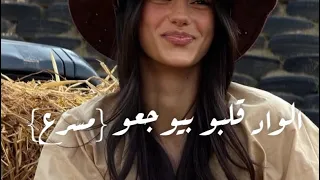 الواد قلبو بيوجعو مسرع  بهاء سلطان  دندنها