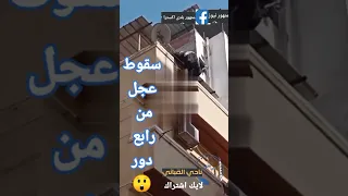 سقوط عجل عيد الاضحى من الدور الرابع مش هروب عجول خلي بالكم على الاضحية مواقف الاضاحي 