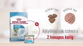 Royal Canin Starter eledelek kölyök- és anyakutyák részére | Petissimo