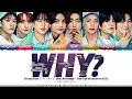 Download Lagu Stray Kids (ストレイキッズ) 'WHY?' Lyrics (Re:Revenge OST) [Color Coded Kan_Rom_Eng] | ShadowByYoongi