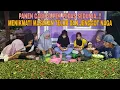 Download Lagu MENIKMATI MASAKAN TELOR DAN JENGGOT NAGA..!! PANEN CABE TERPEDAS SEDUNIA