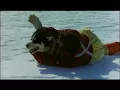 Vangelis Unreleased OST for Antarctica mov. 2