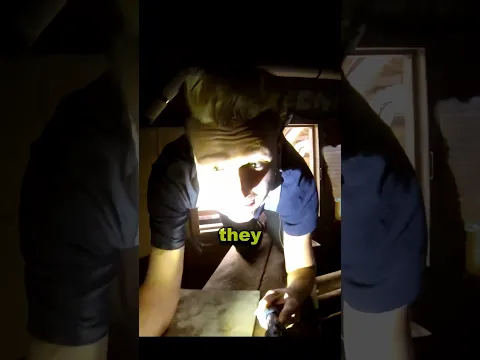 Their Dog Found a Hidden Room in the House Wall...
