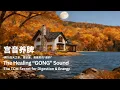 Download Lagu Healing Music for Spleen and Stomach ｜Release physical and mental tension