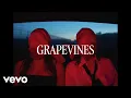 Download Lagu Jade LeMac - Grapevines (Lyric Video)