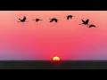 Download Lagu مكررة Repeated -- سورة الفجر سعد الغامدي Al Fajr Saad Al Ghamdi
