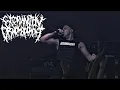 Download Lagu EXTERMINATION DISMEMBERMENT - Live, Minsk, Belarus .  July 27  2024