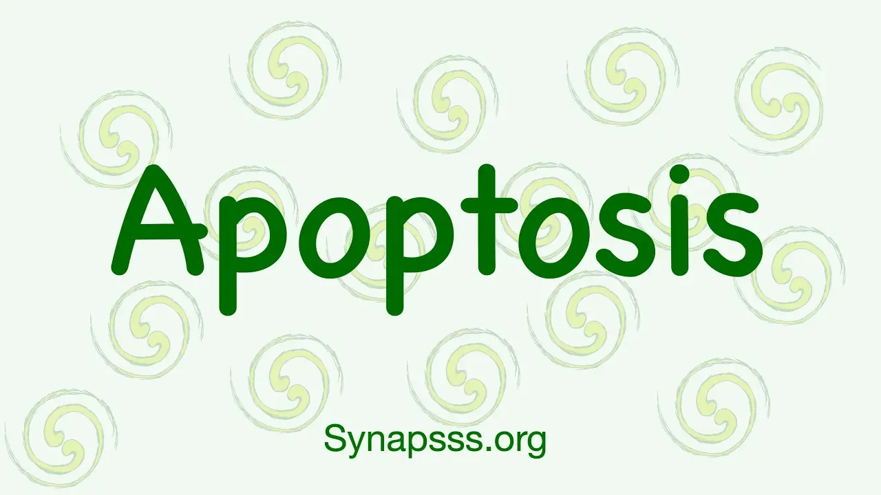 Apoptosis, pathology, morphology, pathway, initiation, intrinsic, extrinsic, execution, degradation