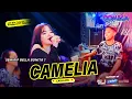 Download Lagu Mirip Bella Bonita ???  CAMELIA - Laila Ayu OOMEGA RIZAZ MUSIC