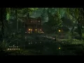 Swamp Sounds at Night - Frogs, Crickets, Light Rain, Forest Nature Sounds