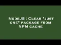 NodeJS Clear just one package from NPM cache