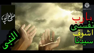 يارب انا نفسى أشوف سيدنا النبى دندنها