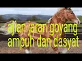 Download Lagu Ajian jaran goyang  ampuh dan dasyat