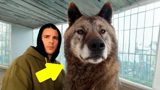 Ветеринар сразу понял, кого на самом деле приютил мужчина