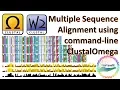 Multiple Sequence Alignment using ClustalOmega