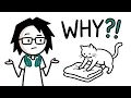 Cats Knead You Because They Still Think You re Their Mother