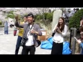Lagu dangdut japan - OM.URANAMI ngamen in onomichi kouen hanami 2012