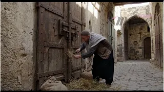 كليب جديد للنمس