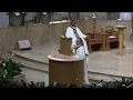Memorial of Saint Pius X Pope