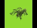 iMovie green screen tree 4