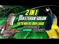 Download Lagu MASTERAN SOGON SATU NAFAS DUA LAGU | prenjak betina sambung brem cigun #sogon #sogongacor