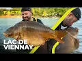 Download Lagu The Multi Rig | Tactics with Loz East | Lac De Viennay | S2 E5