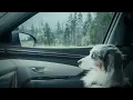 DROELOE - Holiday (feat. Ponette) [Community Visualizer]
