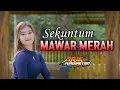 Download Lagu Sekuntum Mawar Merah Terbaru cover Viral Tiktok Arik Funduretion