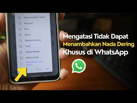 Download MP3 Cara Mengatasi Tidak Dapat Menambahkan Nada Dering Khusus di WhatsApp | Terbaru