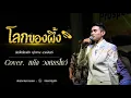 โลกของผึ้ง ต้นฉบับ พุ่มพวง ดวงจันทร์  Cover. แค้งวงศธรโชว์