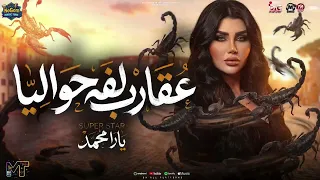 بحارب وحدى فى ديابه   عقارب لفه حواليا   الملكه يارا محمد   شعبى      دندنها