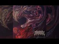 MANGLED - Echoes from the Ominous Minds Full EP 2026