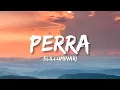 Elilluminari - Perra