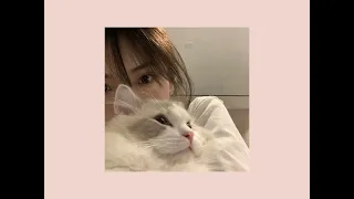 يا ليالي روحيلو            دندنها