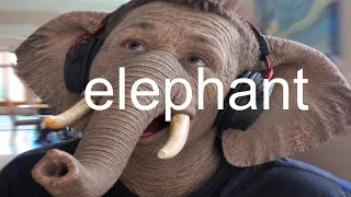 addressing the elephant in the room…