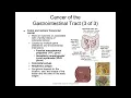AHS 280 Chapter 41 - Alterations of Digestive Function