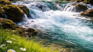 Calm Your Mind: Flute & Water Flooding Sounds for Meditation (60 Mins)