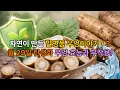 The secret behind the birth flower of March 29th Burdock began with burdock seeds The story o