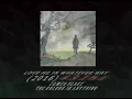 James Blake - Love Me In Whatever Way [432hz]