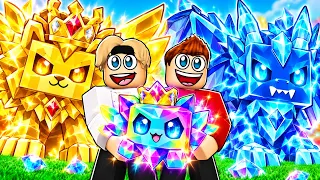 DIE WERTVOLLSTEN PETS in ROBLOX!