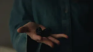 Hollyn - Blackberry (Official Music Video)