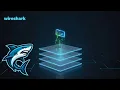 Capture a Real TCP Packet in Kali Linux Wireshark tutorial