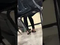 Perfect Goddess Brunette Candid Feet FACESHOT