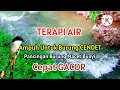 Download Lagu terapi air ampuh untuk burung cendet | suara air gemericik terapi burung