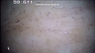                  دندنها