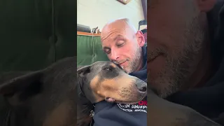 Dogs really know when you’re feeling down .. #fyp #pets #doberman #dream #sailing